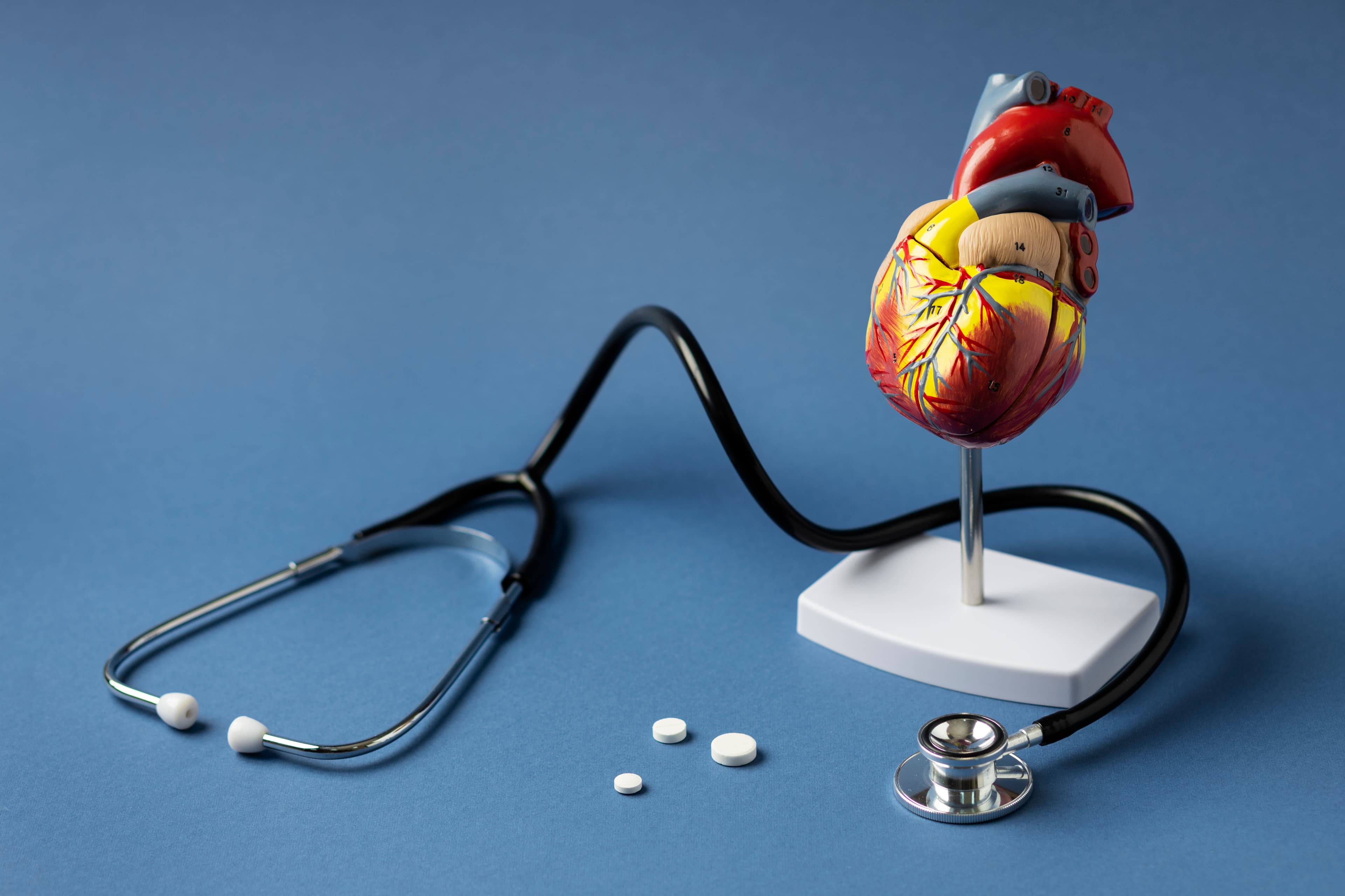 3D cardiology background